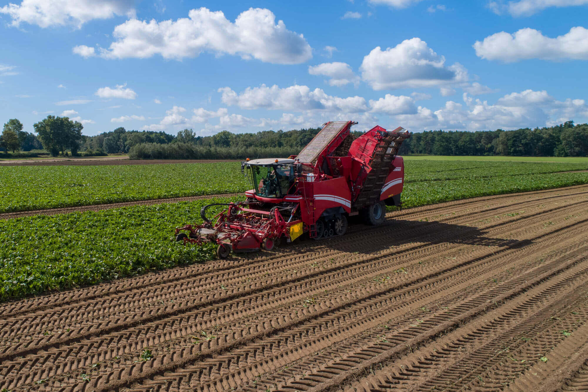 Landbouw Landbouw