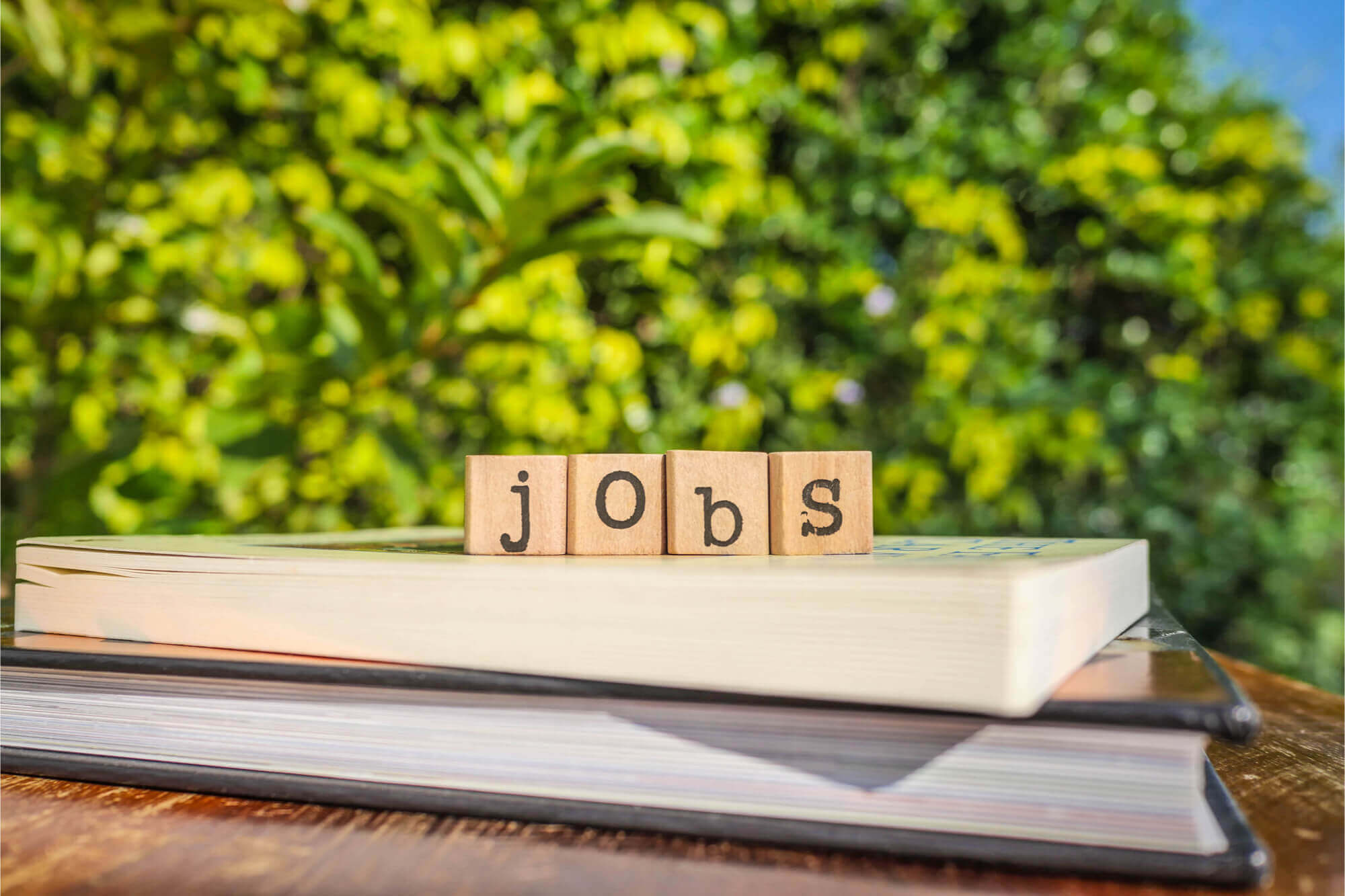 Vacature Expeditie Medewerker